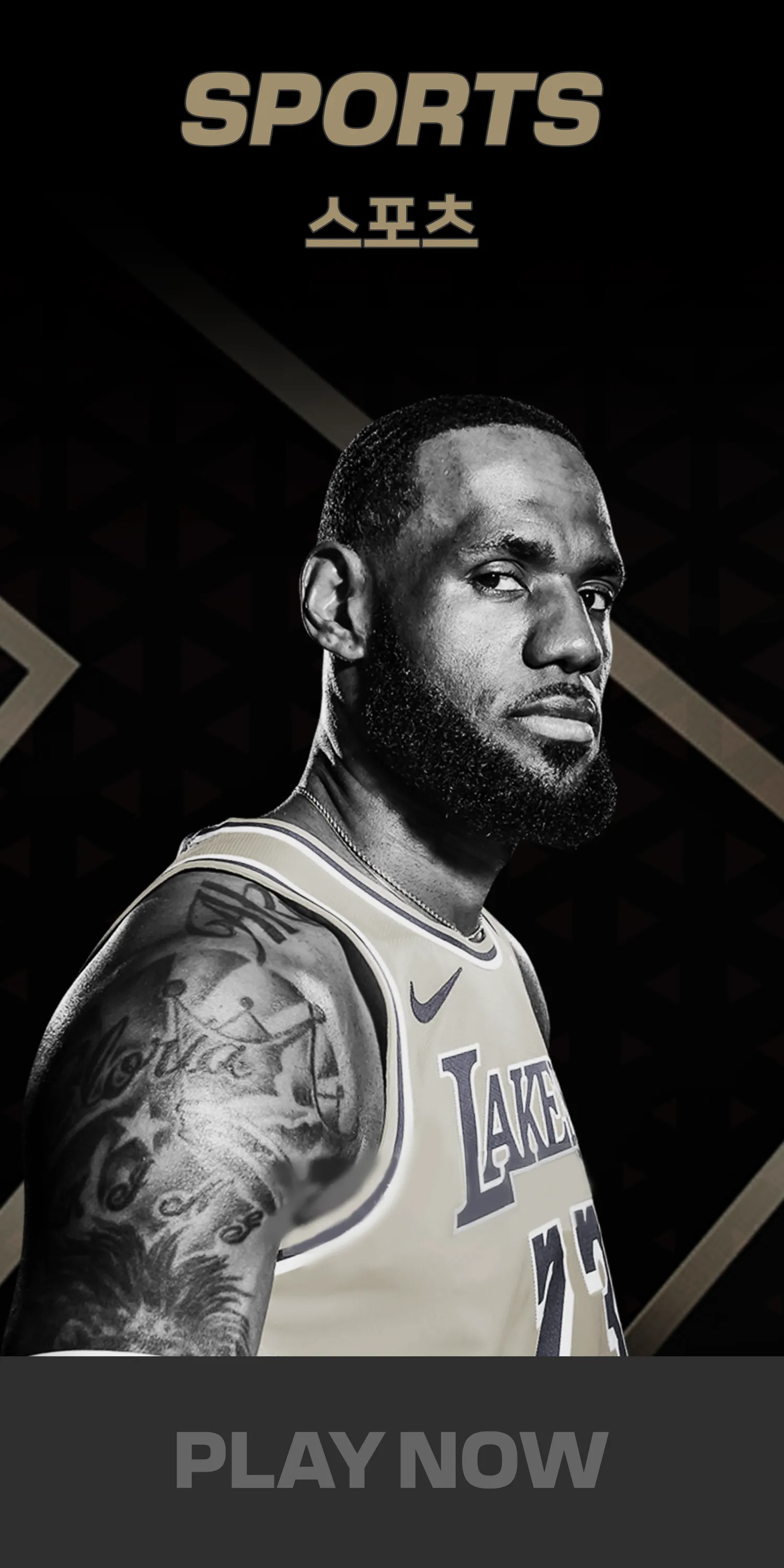 슬라이드 이미지